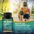 Organic Sea Moss 60 Capsules, Black Seed Oil Bladder Wrack Turmeric - Image 3